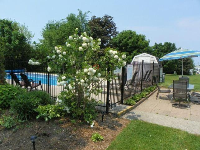 Lakeview Motel & Cottage Kincardine Esterno foto